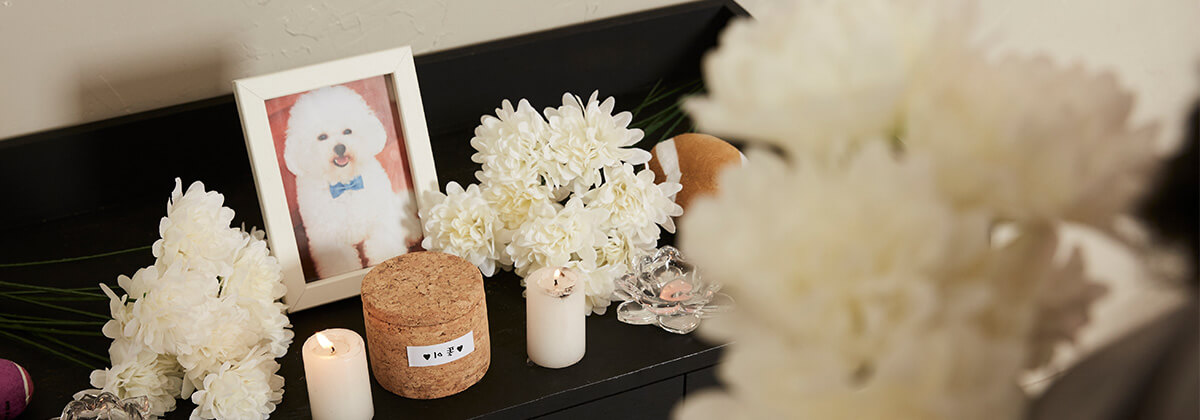 ¹Ý·Áµ¿¹°Àå·ÊÁöµµ»ç