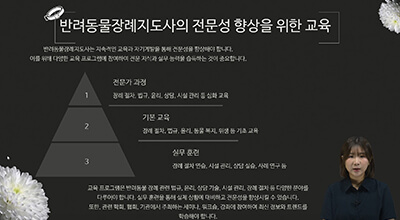 ������ �����