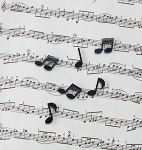 ���ǽɸ����� 1��