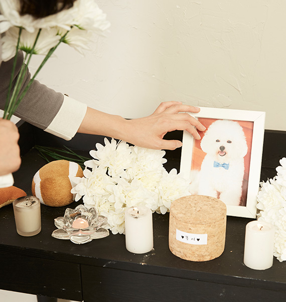 �ݷ�������������� 1��