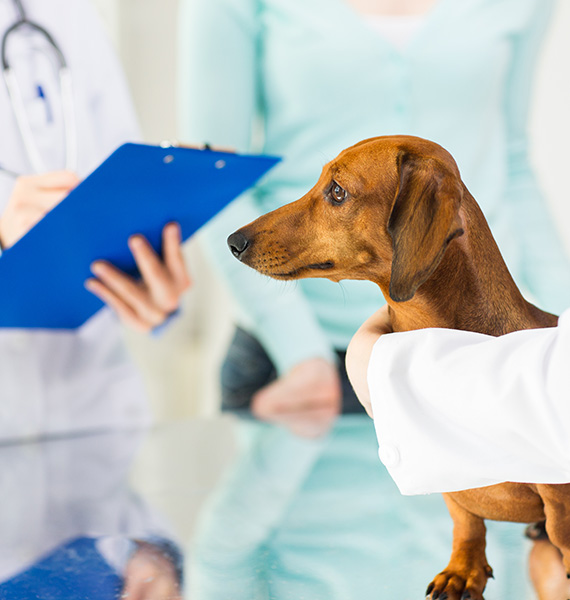 ���������ڵ������ 1��