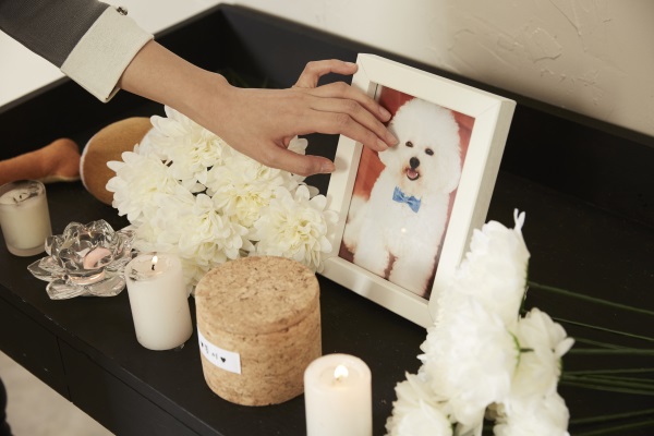 �ݷ�������������� 1��