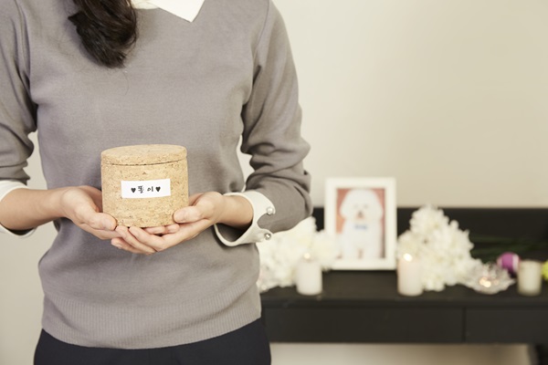 �ݷ��������������