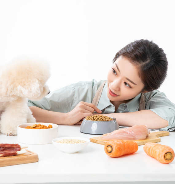 ��Ǫ�彺Ÿ�ϸ���Ʈ